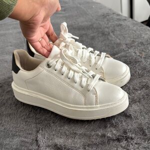 Steve madden sneakers